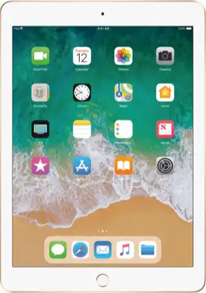 iPad (5th generation)
